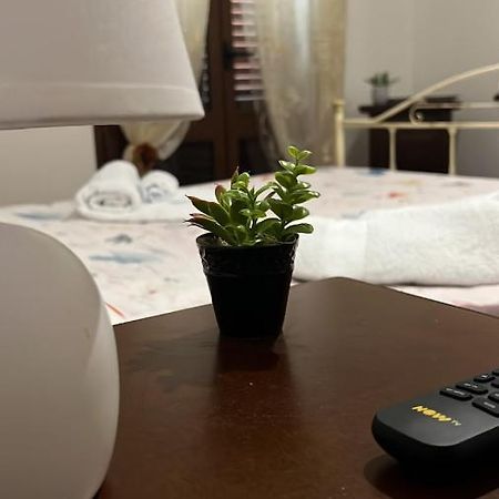 Il Gabbiano Home 泰拉西尼 外观 照片