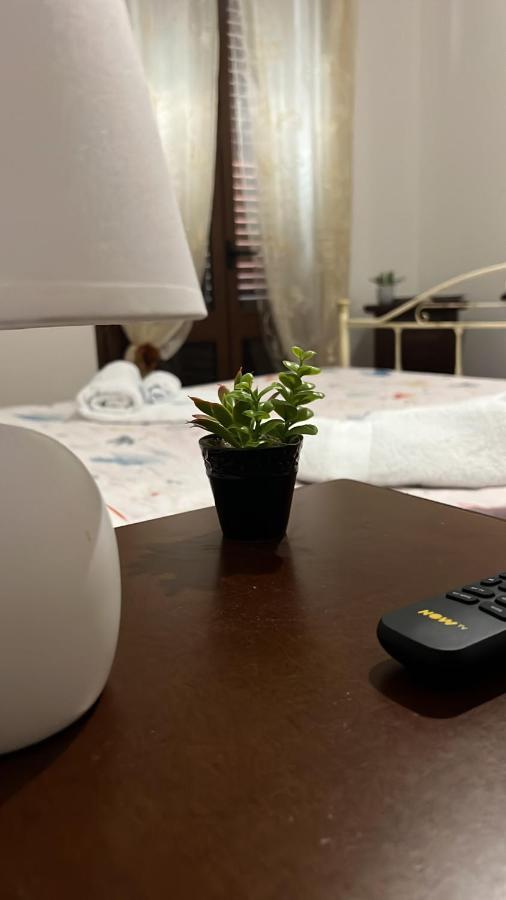 Il Gabbiano Home 泰拉西尼 外观 照片